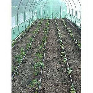 Peliculă pentru sere Tehno Ms 10x3x2.25 m