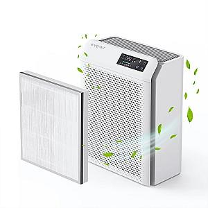 Purificator de aer Evoair HOMI P300