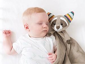 Jucarie bebelus Zazu ROBIN Baby Comforter