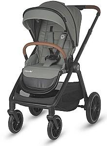 Carucior 2 in 1 Coccolle Aspen Green