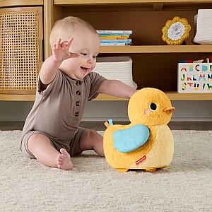Jucarie muzicala Fisher  price JMX99