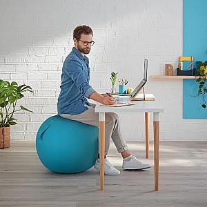 Minge de fitness Leitz 52790061 Blue