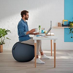 Minge de fitness Leitz Cosy Grey (52790089)