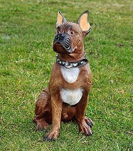 Decor pentru gradina Art Figure Boxer (5.642)