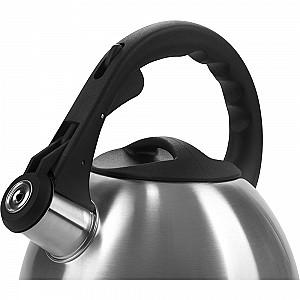 Ceainic pentru aragaz Polaris Verde 2.2L