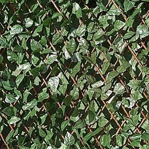 Plasa decorativa gard Greentech Willow-Laurel