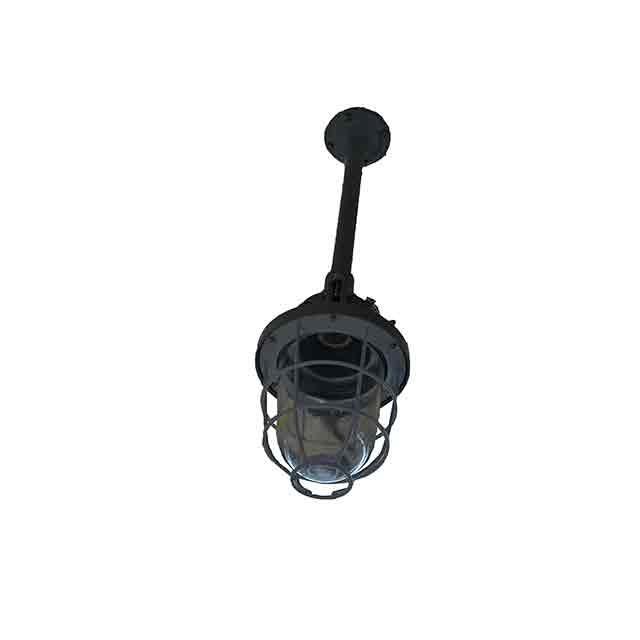 Iluminat fatada ANTIEX DZ53B-125 II GD