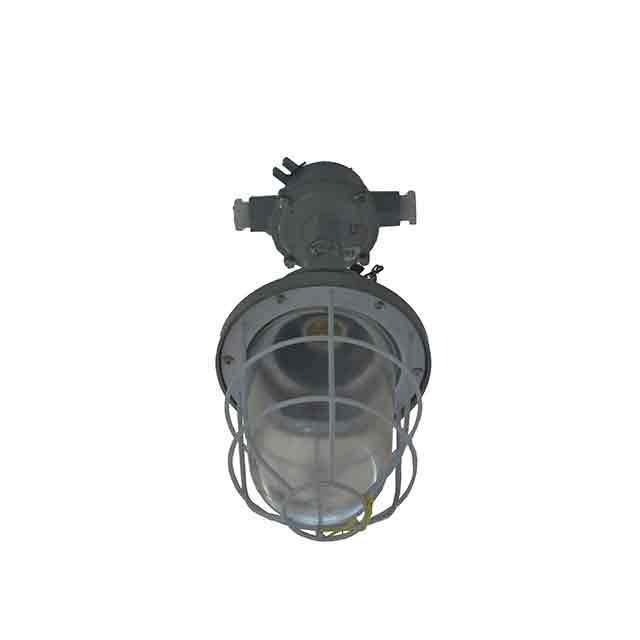 Iluminat fatada ANTIEX DZ53B-125 II XD