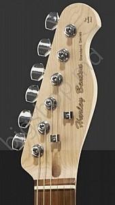 Chitara electrica Harley Benton TE-20 Sunburst