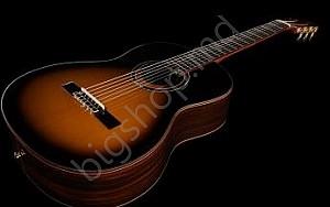 Chitara clasica Ortega R158SN TSB 4/4