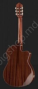Chitara clasica Ortega RCE138SN-L