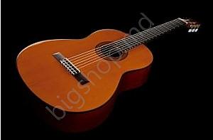 Chitara clasica YAMAHA CG102 NT 4/4