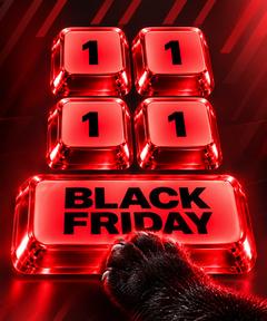 Black Friday