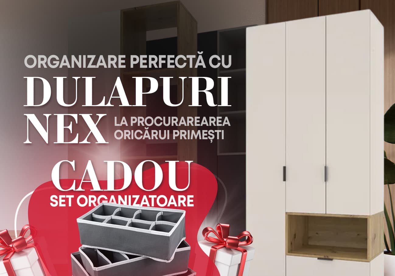 Cadou organizatoare
