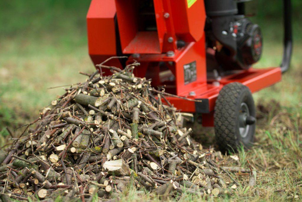 Cum să alegi un tocător de crengi?: 5 sfaturi de ajutor
