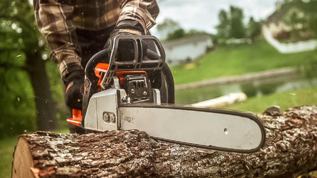 Сele mai bune drujbe pe benzina