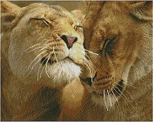 Pictură cu diamante Strateg FA10977 Iubirea leilor