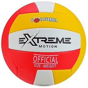 Мяч Sport Extreme Motion (3 culori)