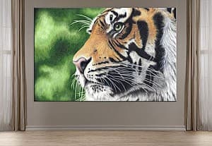 Poster Art.Desig Tigru cu ochi verzi