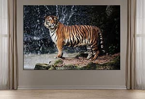 Постер Art.Desig Тигр у водопада