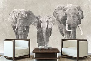3D Фотообои Art.Desig Слоны в винтажном стиле