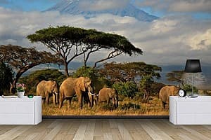 3D Фотообои Art.Desig Слоны