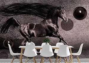 3D Фотообои Art.Desig Черная лошадь и шары