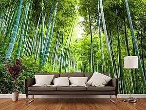 3D Фотообои Art.Desig Бамбуковый лес