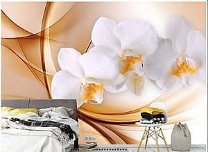 Fototapet 3d Art.Desig Orhidee pe fundal portocaliu