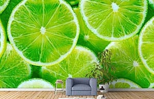 Fototapet 3d Art.Desig Cerculete de Lime