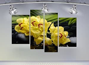Модульная картина Art.Desig Цветок Орхидея на черных камнях
