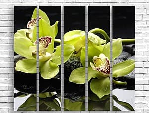 Tablou multicanvas Art.Desig Verde-alb orhidee în floare