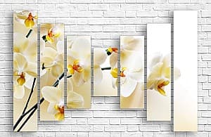 Tablou multicanvas Art.Desig Orhideea albă în floare