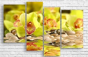 Tablou multicanvas Art.Desig Orhideea galbena