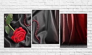 Tablou multicanvas Art.Desig Trandafirul roșu pe negru
