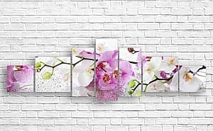 Tablou multicanvas Art.Desig Orhidee pe sticlă umedă