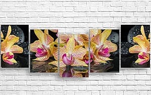 Модульная картина Art.Desig Спа камни, капельки и цветы орхидея
