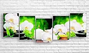 Tablou multicanvas Art.Desig Floarea orhideei și lumanari