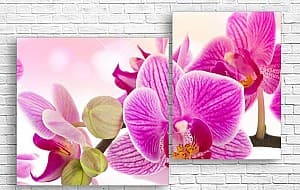 Модульная картина Art.Desig Розовая орхидея на розовом фоне
