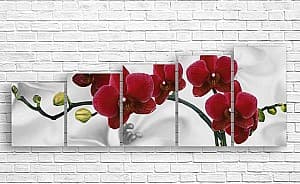 Tablou multicanvas Art.Desig Orhideea burgundă