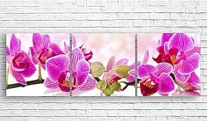 Tablou multicanvas Art.Desig O creanga de orhideea in floare