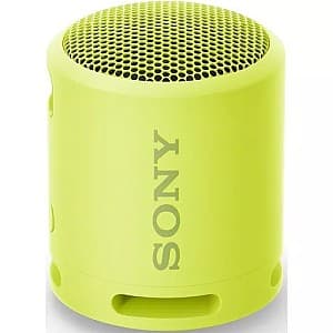 Boxă portabilă Sony SRSXB13Y