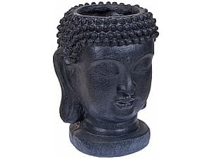  NVT Buddha