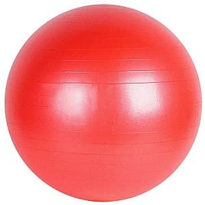 Мяч для фитнеса VLM 826065R