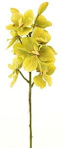 Искусственные цветы Casa Masa Орхидея Ванда 68 см зеленая