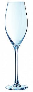 Pahare Cristal D'Arques WINE EMOTIONS 240 ml set 6 buc