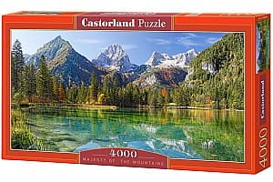 Puzzle Castorland C-400065