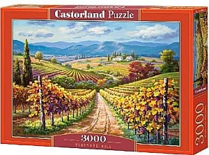 Puzzle Castorland C-300587