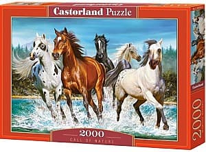 Puzzle Castorland C-200702