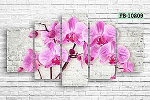 Tablou multicanvas Art.Desig Orhidee FB-10209